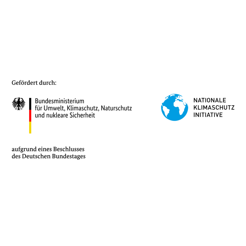 Unbenannt 1